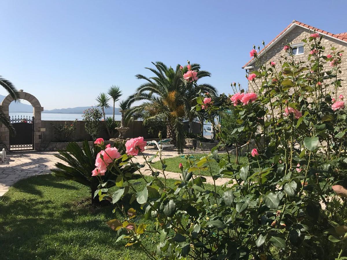 Apartments Apple Cat Montenegro Ko 比耶拉 外观 照片